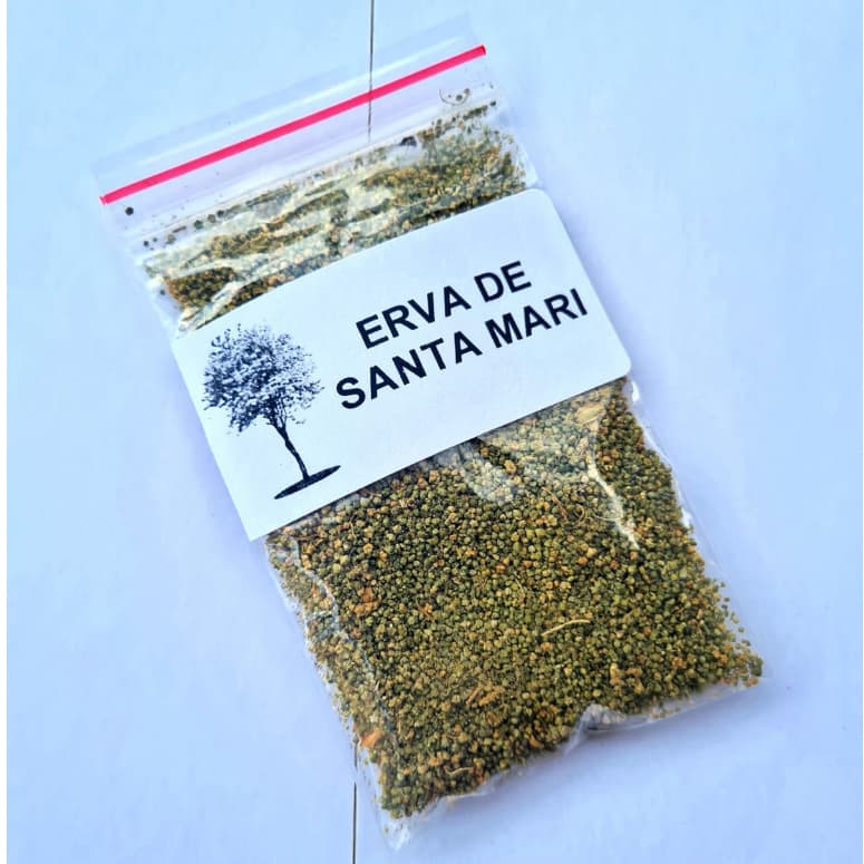 1000 Unidades - Mastruz - Santa Maria - Chenopodium ambrosioides  L.