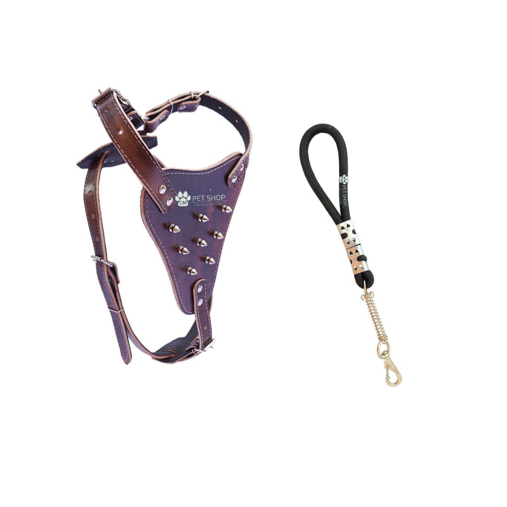 Kit Passeio Couro Cachorro Peitoral Spike + Guia Reforçada Forte