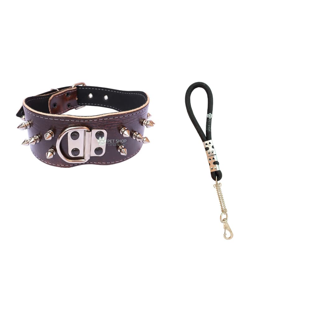 Kit Passeio Couro Cachorro Coleira Spike + Guia Reforçada Cães