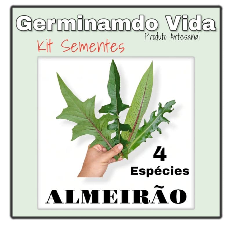 Kit Sementes Almeirão Para Plantio Em Vasos Hortas - 04 Espécies Comestíveis