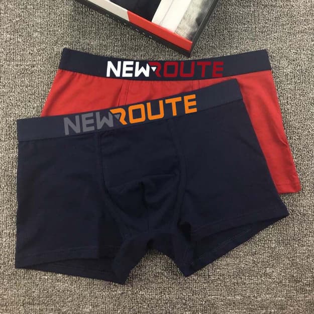 Kit de 10 Cuecas Boxer Box  Lisa Algodao Premium