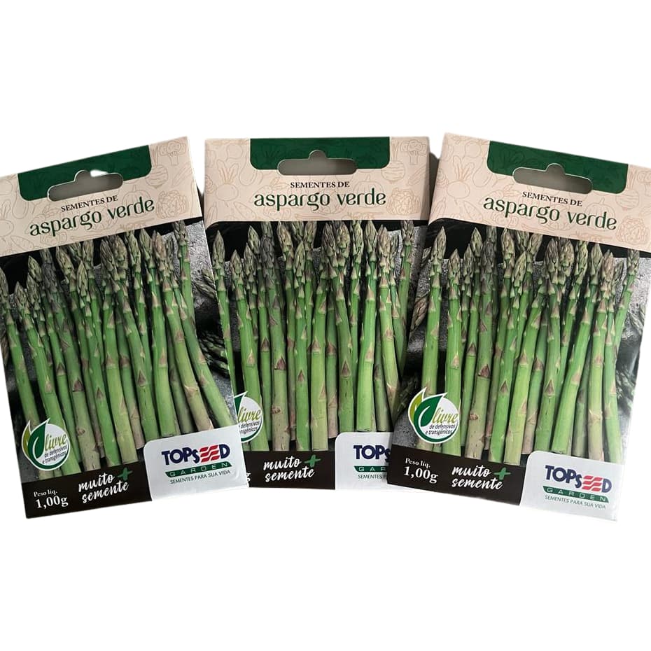 Kit com 3 Envelopes Sementes de Aspargo Verde Rico Proteína Minerais Horta Conserva