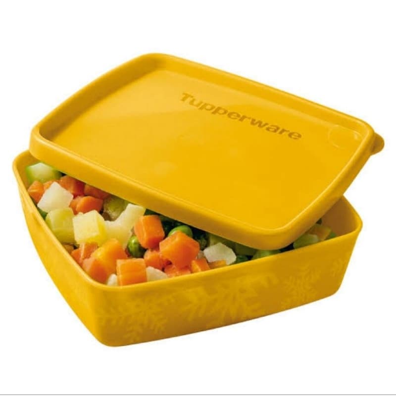 Tupperware - Jeitosinho - Pote para Freezer - Pote para marmita