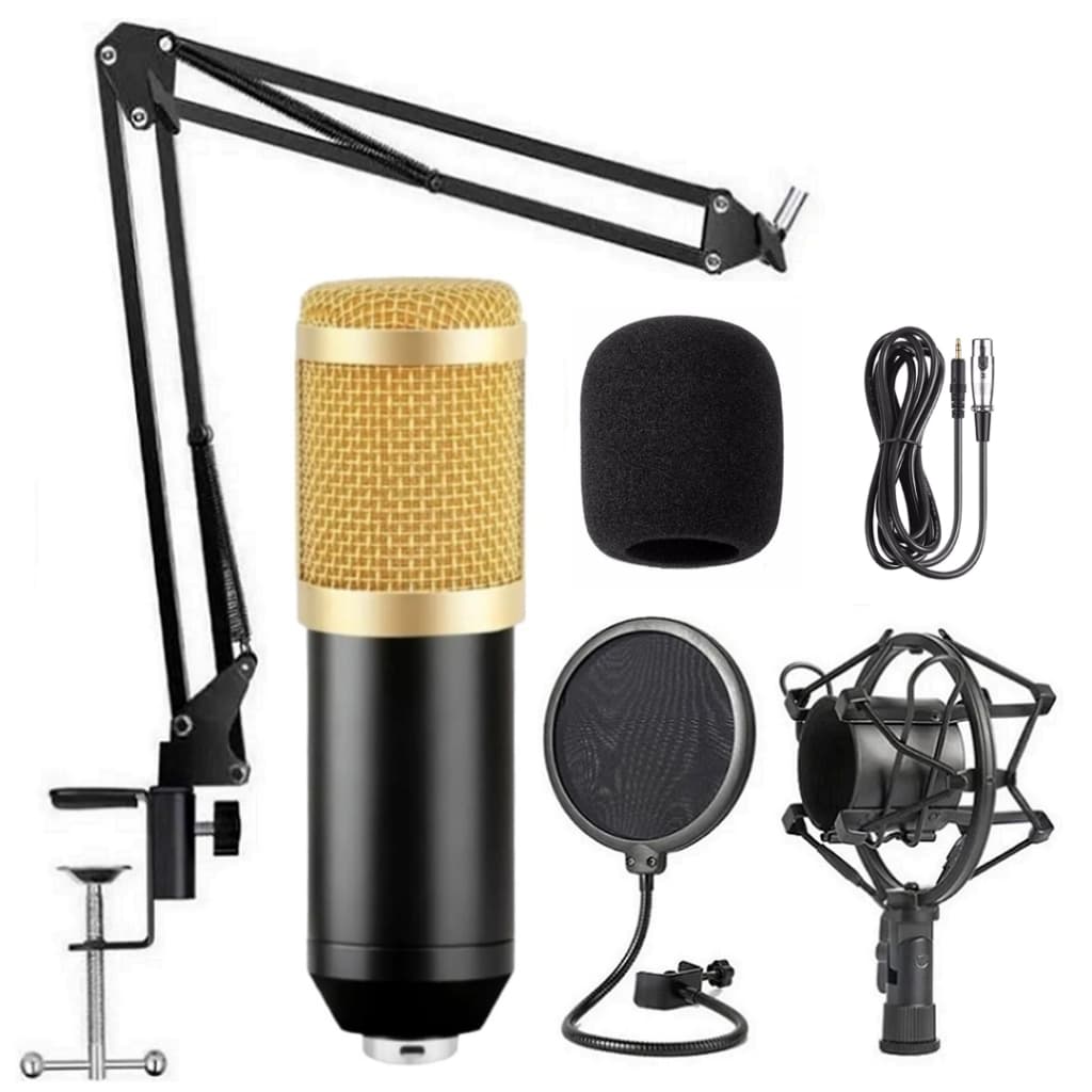 Kit Bm 800 Microfone Condensador Profissional Ejz Com Braço