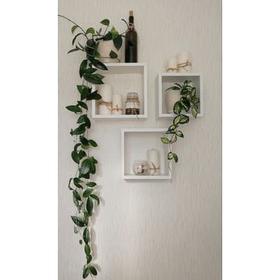 NICHOS PARA PLANTAS
