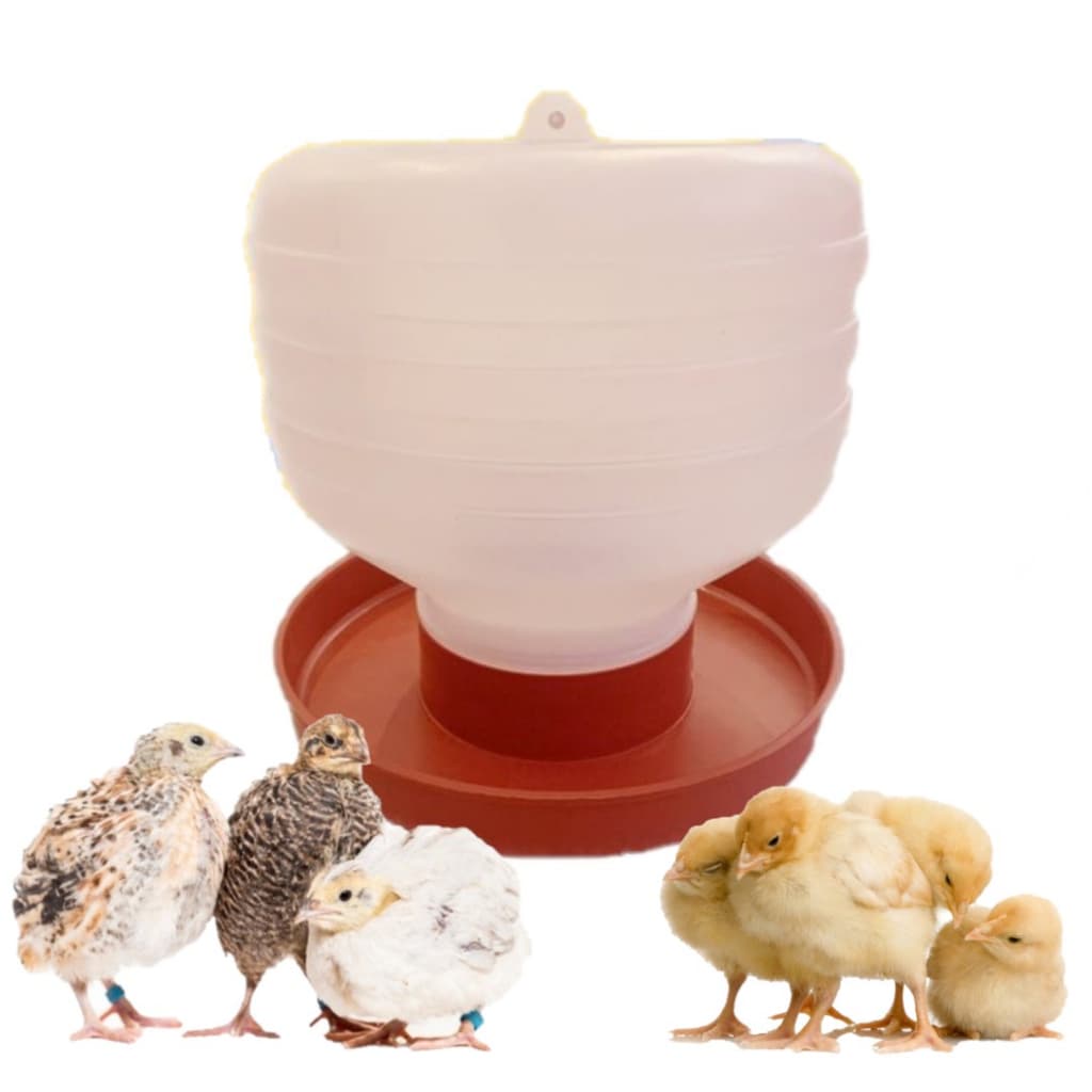 Bebedouro Codorna Automático com Rosca  Pinto Pintinho Aves Pequena 1 Litro