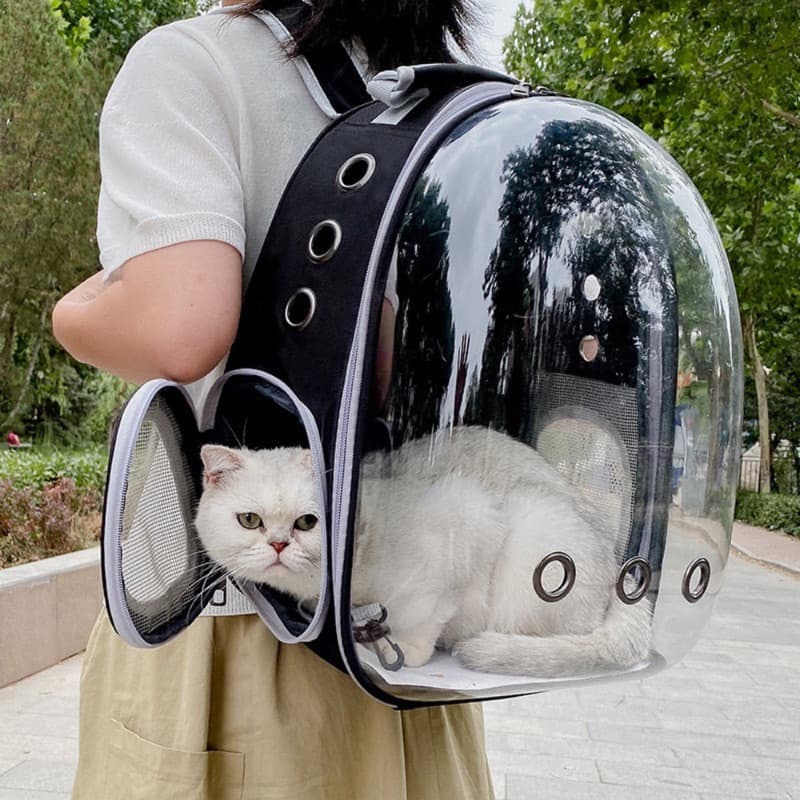 Mochila Pet Cães e Gatos Visão Panorâmica Em Acrílico Para transporte Passeio