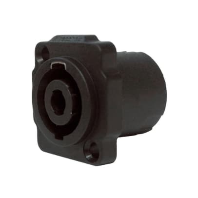 Conector Speakon Fêmea Preto WC1604 Wireconex