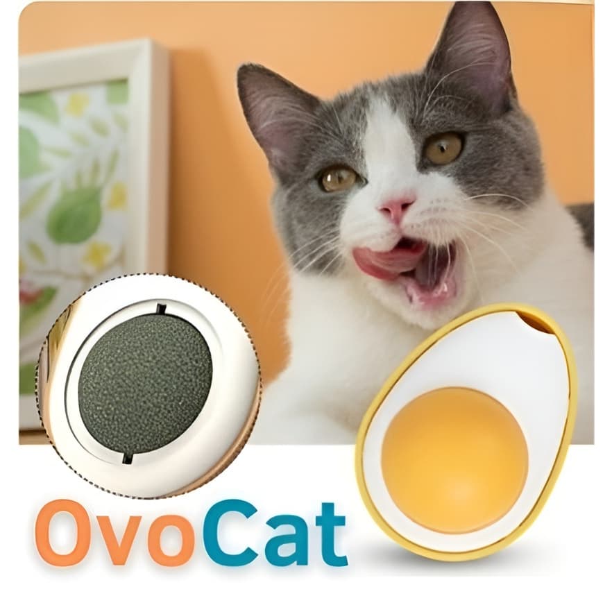 Ovo De Brinquedo Interativo Para Gatos Com Catnip Erva Gato Natural Avocado Lambe Lambe