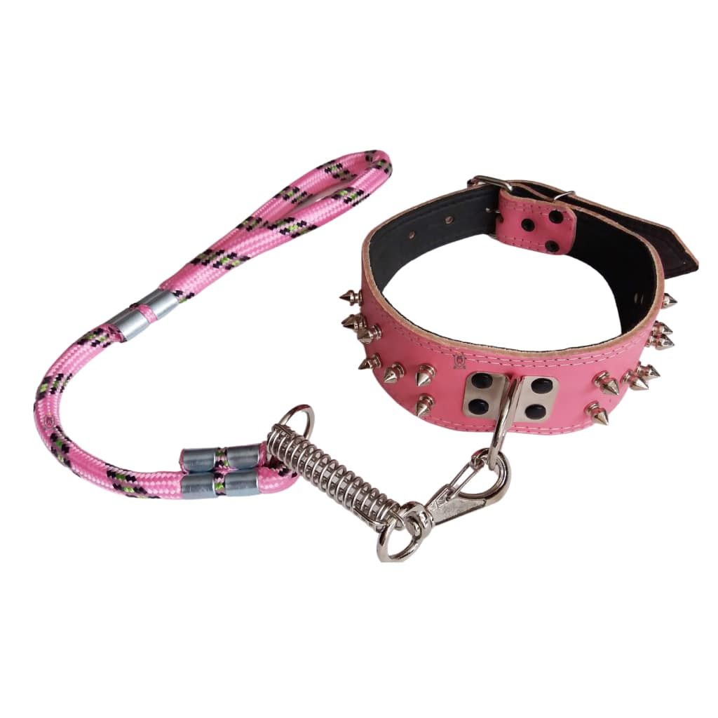 Guia e Coleira de Couro Com Cravos Cachorro Forte Pitbull Rotweller Doberman Pastor Labrador Husky Dog
