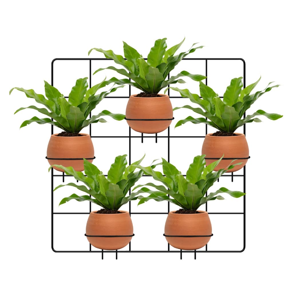 Suporte Vasos e Plantas de Parede Painel Aramado com Treliça Pendurar Planta 40 x 40 cm