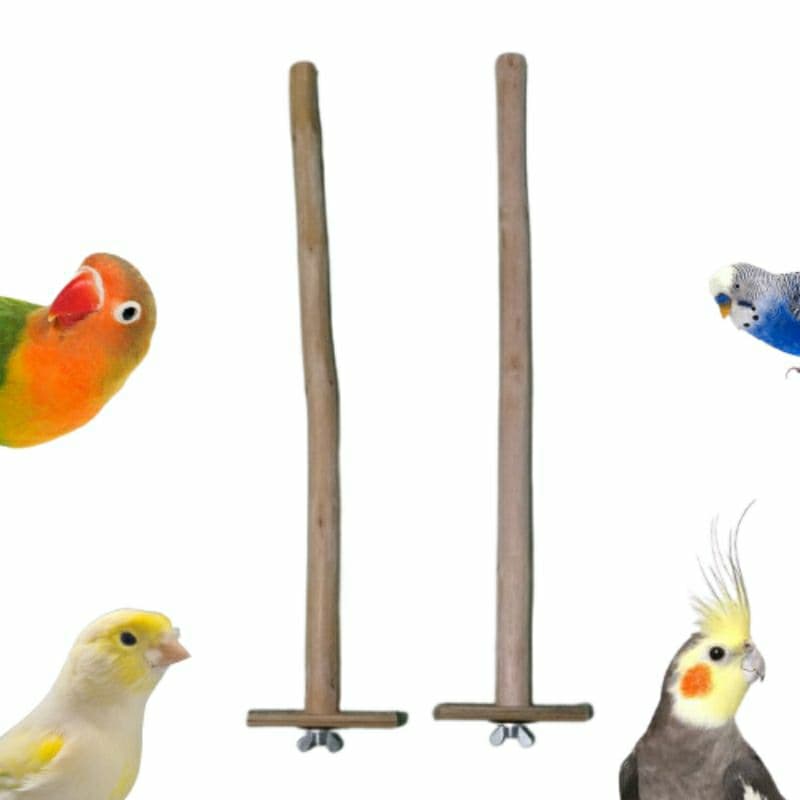 Poleiro reto 40cm para canários, calopsitas, agapornis e periquitos serve em qualquer malha