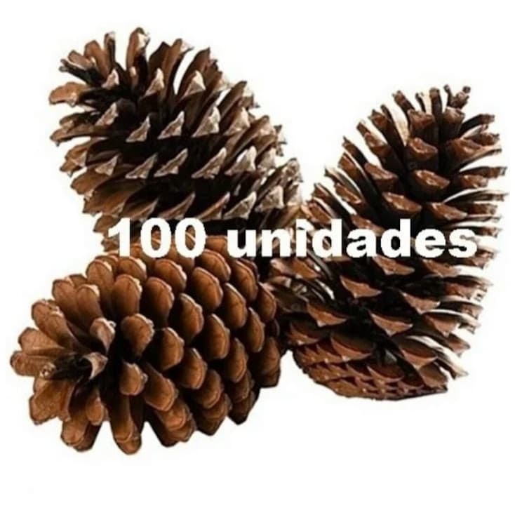 100 Pinhas Naturais Enfeite Artesanato Decoração Selecionada