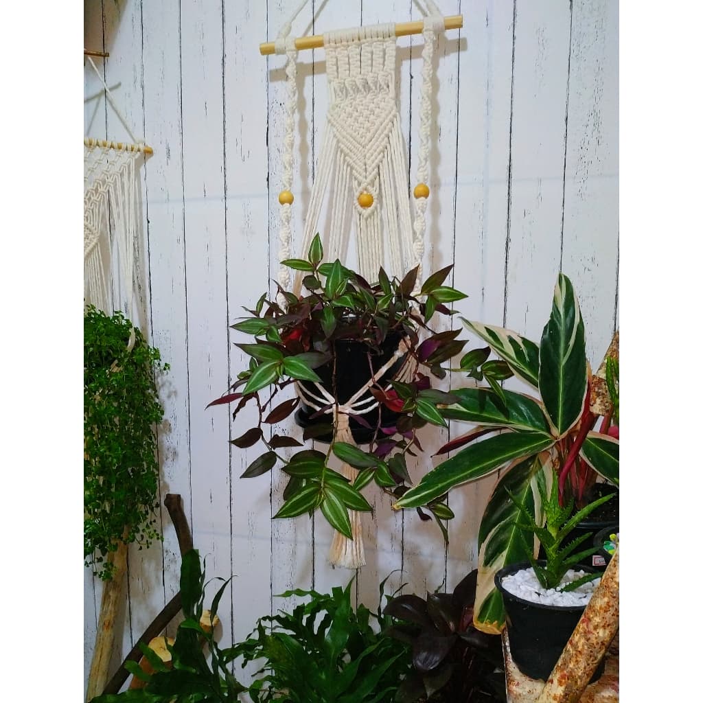 Suporte Fran , Suporte de planta Macramê  com painel para vasos grandes
