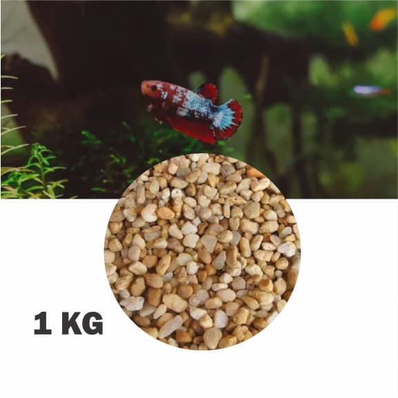 Mini Pedras P/ Aquário Cascalho Rio Substrato Natural 5 À 15mm - Aquario Betta Peixe Ornamental
