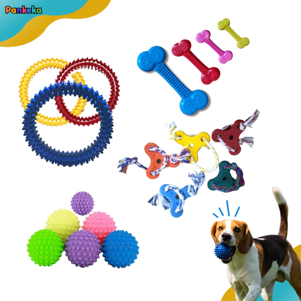 KIT Brinquedo Mordedor Massageador Brinquedo para Cachorro - 2, 3 ou 4 Unid - Diversão pet
