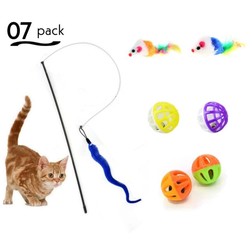 Dualpet gatinho brinquedos variedade gato brinquedo conjunto de combinação gato brinquedo engraçado gato vara cobrinha