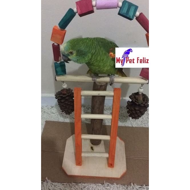 brinquedo para papagaio - playground para papagaio - brinquedo para ararajuba - brinquedo para ring neck brinquedo lóris