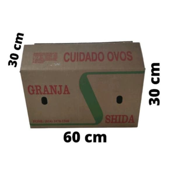 Kit 10 Caixas De Papelão Grande Medidas 60x30x30 P/ Mudança