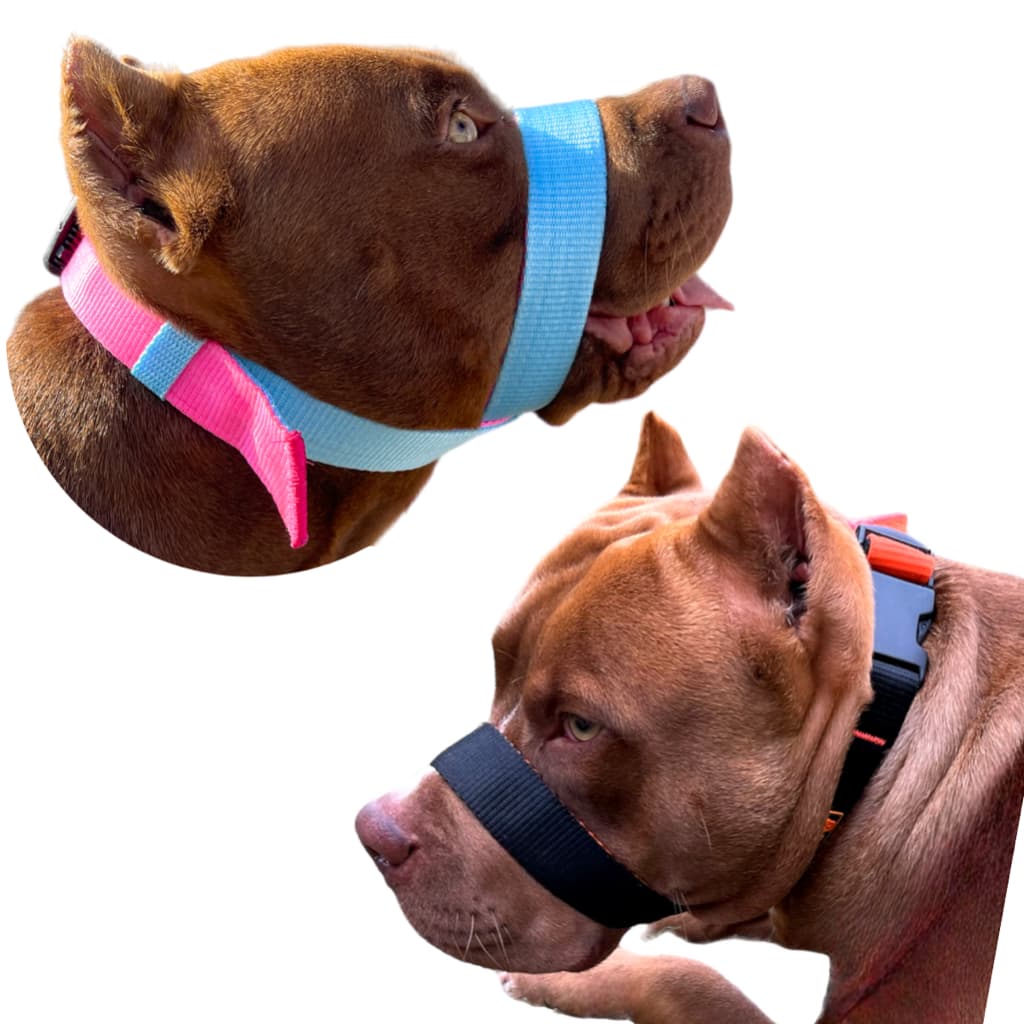 A Melhor Focinheira Do Mercado Pet Para Cachorro Cão Pitbull