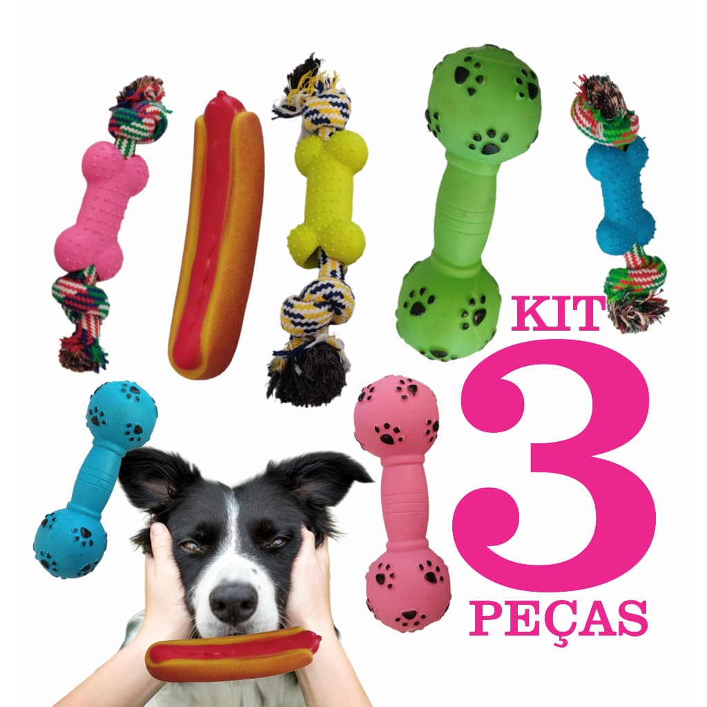 Kit 3 brinquedos Pet Variados mordedor anti-stress osso resistente para cachorro