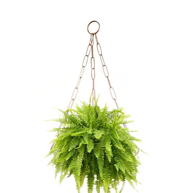 Suporte com correntes  para Pendurar Samambaia￼ , Plantas e Vasos não enferruja .