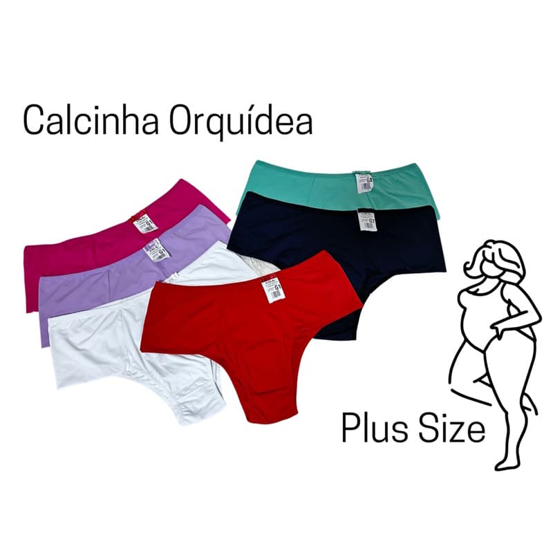 Calcinha Poliamida Plus Size Tradicional Kit 2 Calcinhas Plus Size Cós Alto Lateral Dupla tradicional Orquídea Ref:372
