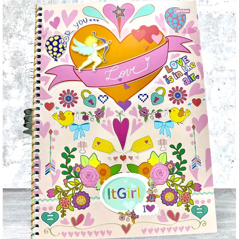 Caderno Grande 96 Folhas Capas Fofas Jandaia