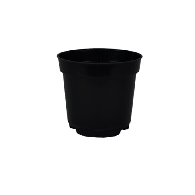 Mini vaso de planta - Vaso pote 6 - kit com 10 unidades para decoração - kit vasos suculentas
