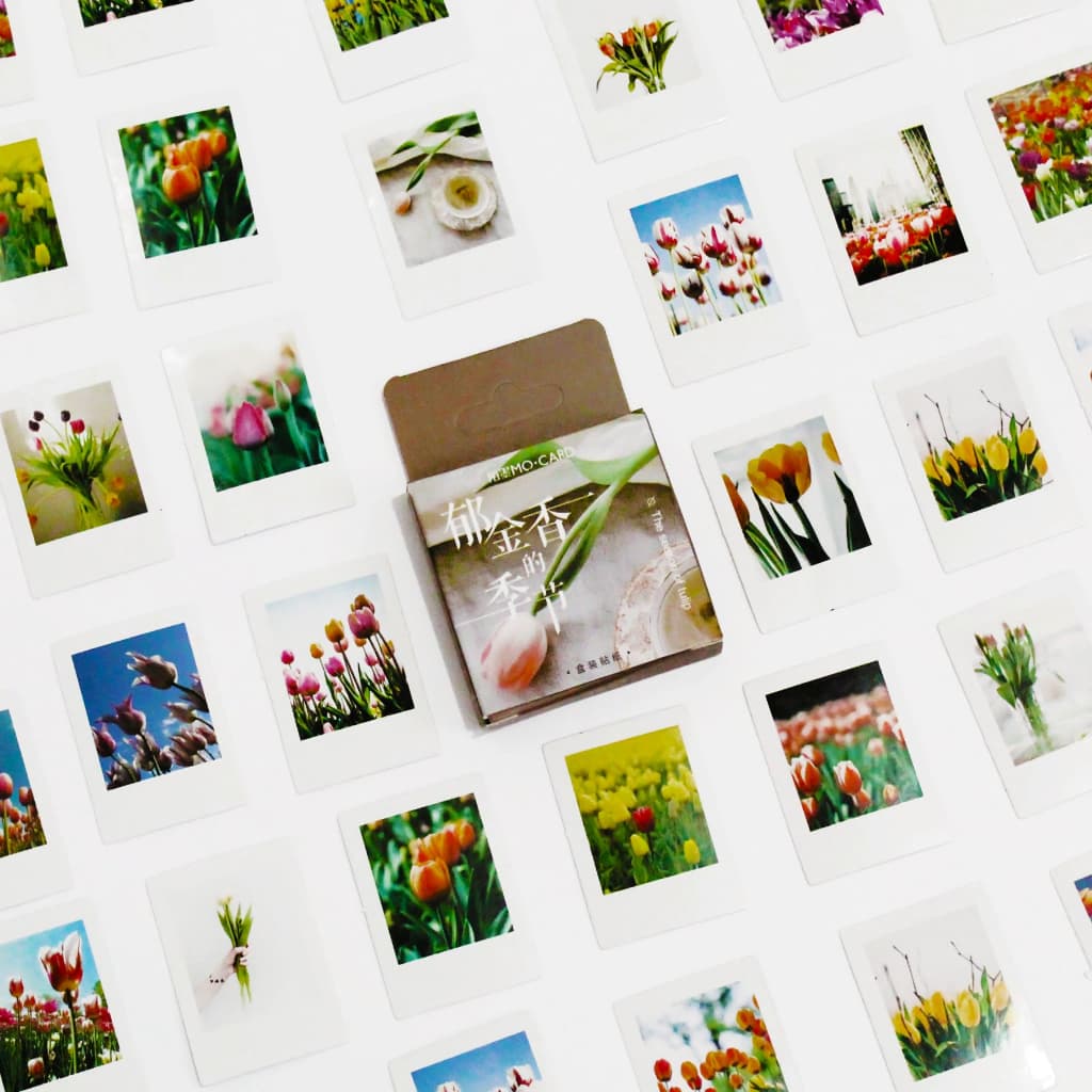 Caixinha de Adesivos – Tulipas em Polaroid