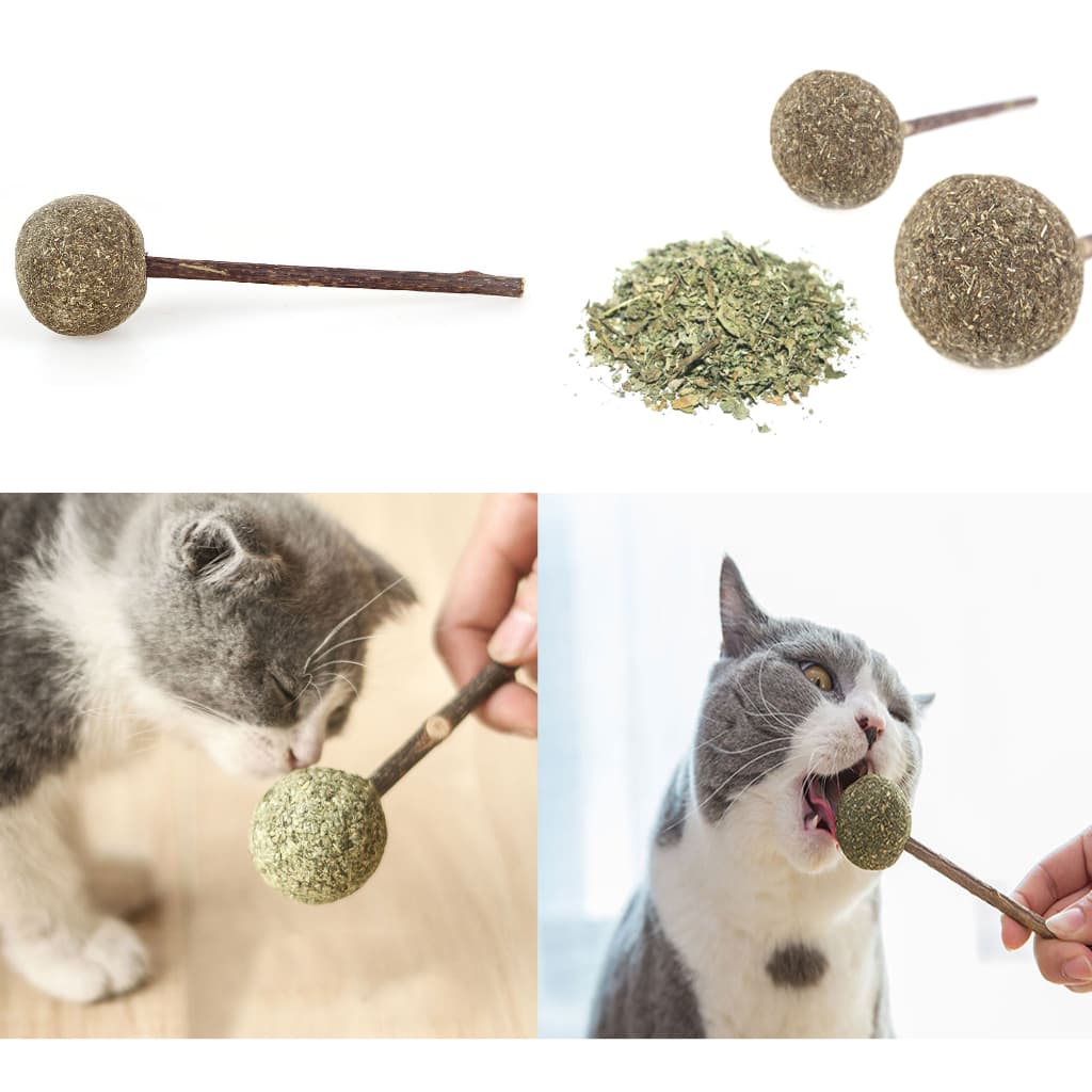 Pirulito Bola Catnip para Gato Cabo Madeira para Limpar Dente Erva Gato Natural Antiestresse Relaxa Brinquedo Divertido Interativo LR-0192