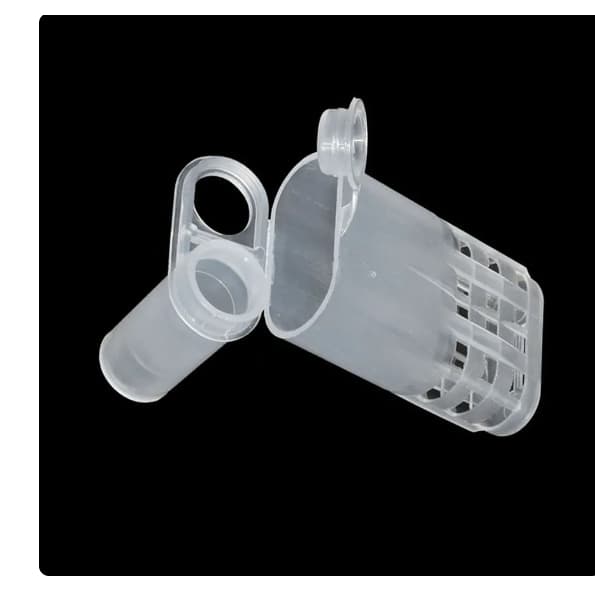 1 UND GAIOLAS ABELHA RAINHA PARA  APICULTURA  PRODUÇÃO POSTURA APICULTOR GAIOLA