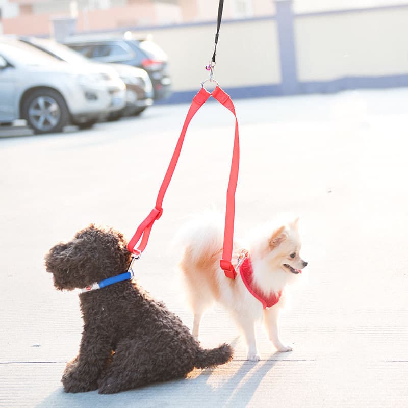 Adaptador de Guia Duplo Para Passeio Cachorro Pet Extensão para Acoplar na Guia