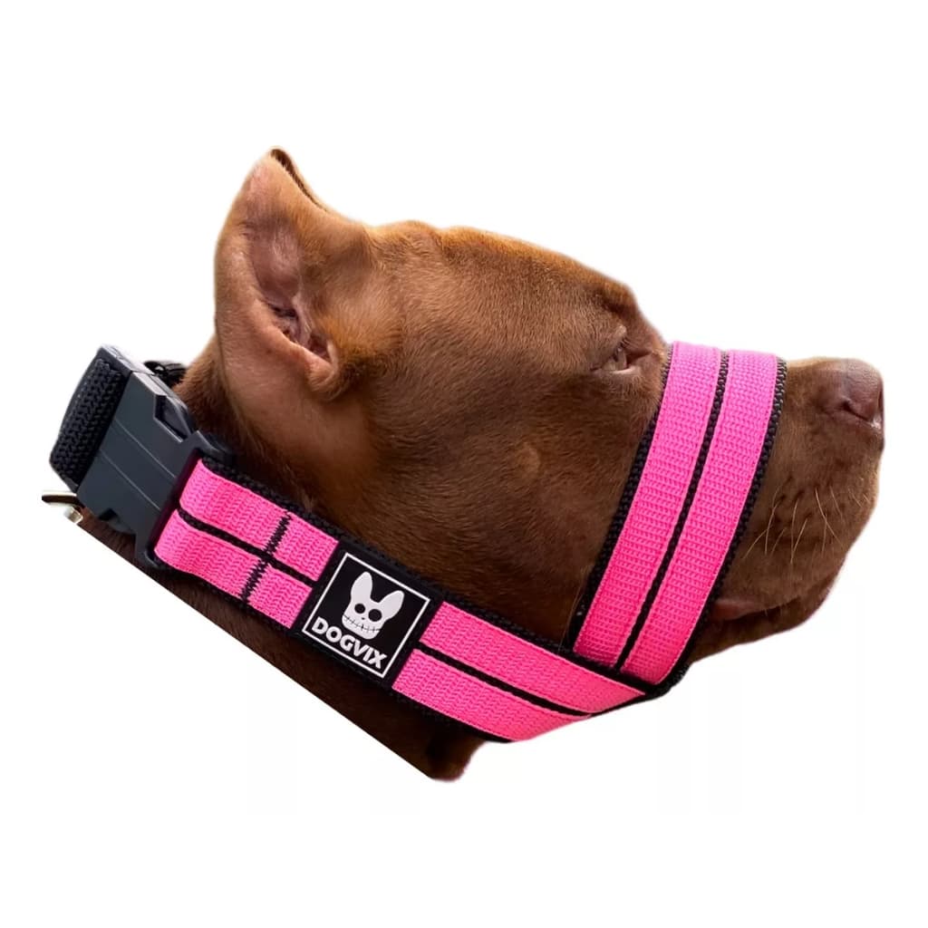 Focinheira Resistente para Cachorro Grande Segurança e Conforto para Seu Pet