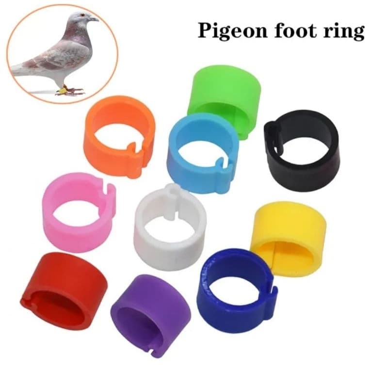 anilhas para pintinhos e outras aves pct com 100 und coloridas.