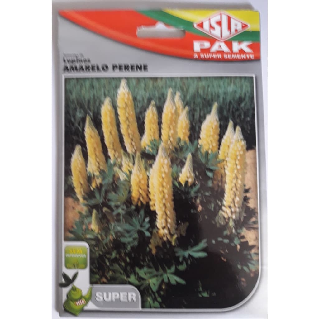 3 sementes da linda flor Lupinos Amarelo Perene