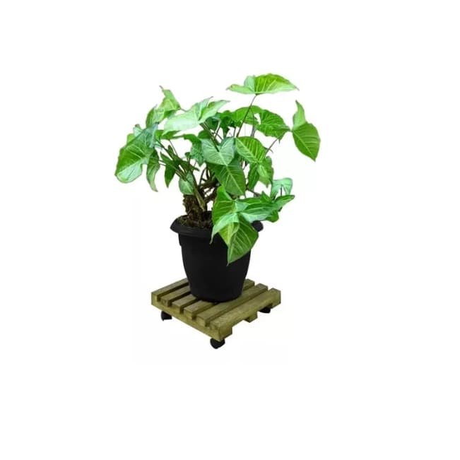 Suporte Para Vaso De Plantas MDP PINUS Carrinho Rodinhas Multiuso