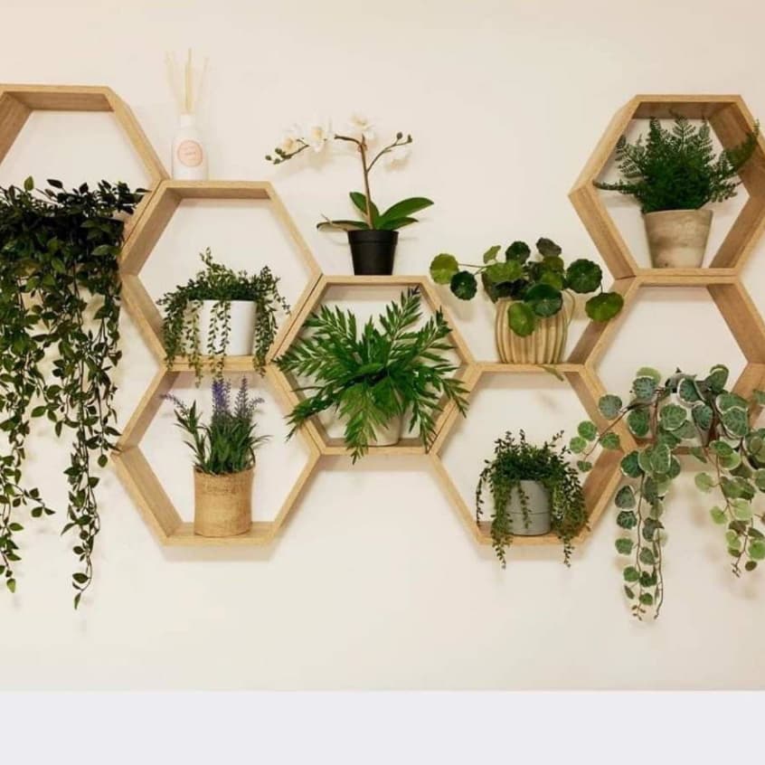 6 Peças De Nichos Decorativo Em Madeira Pinus Para Decoração