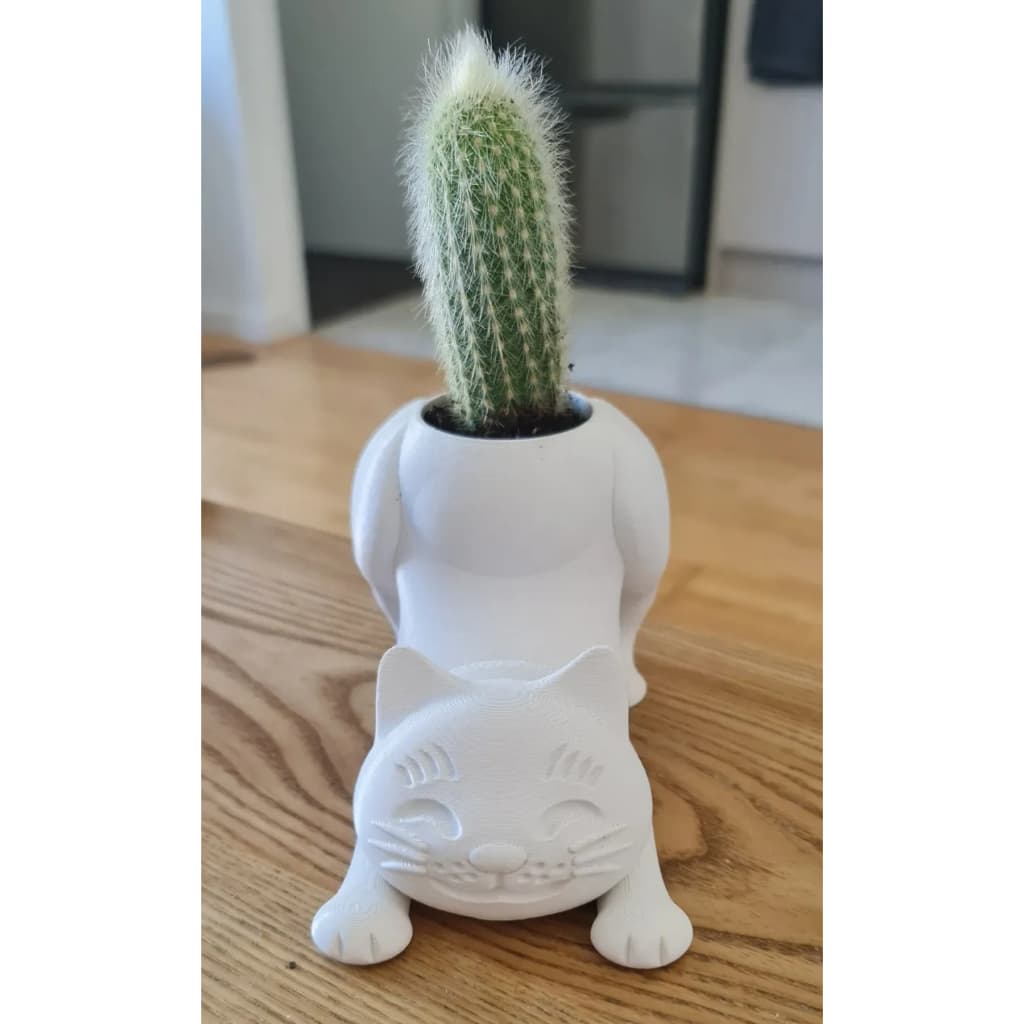 Vaso Gatinho Mini Cactos Decoração Casa Durável Resistente Custo Benefício