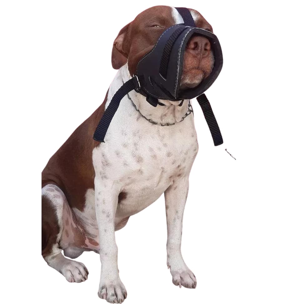 Focinheira Cachorro Regulável e Confortável para seu cão raças médio e grande porte pitbull rotweiller border collie