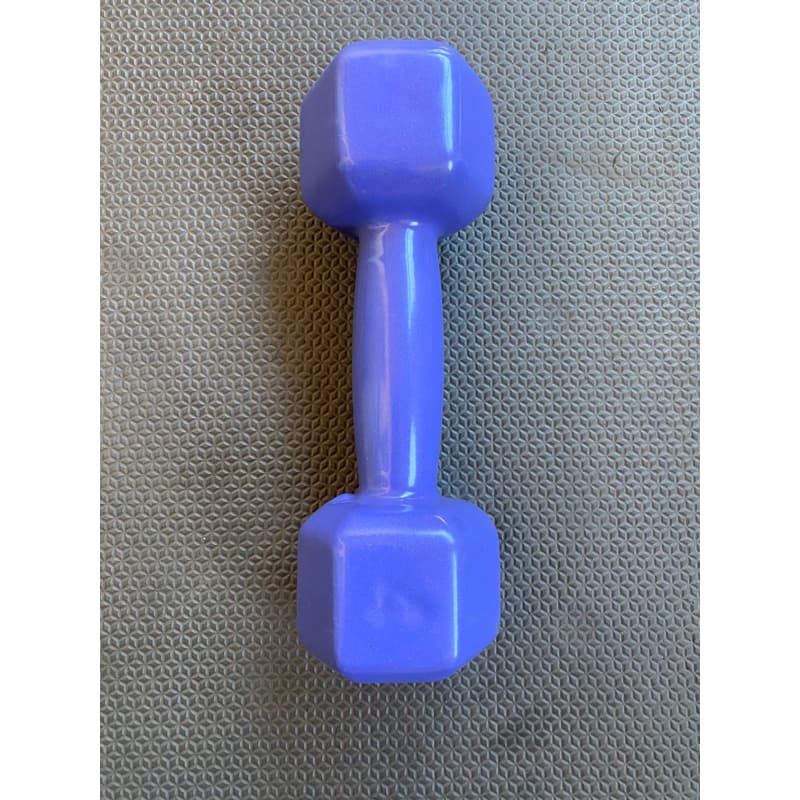 Halter sextavado emborrachado roxo 4kg