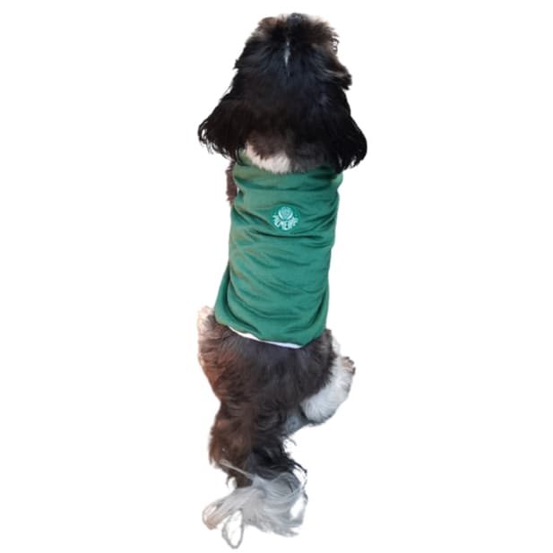 Roupa para Pet Camiseta /Regata Pet time  futebol cachorro torcedor pet verão Campeonato