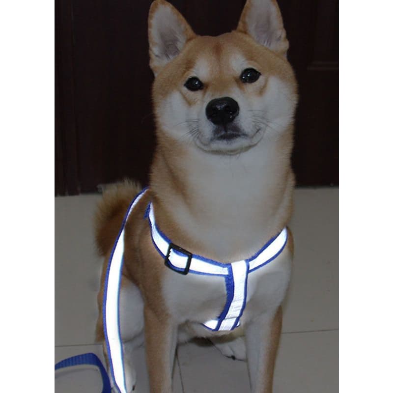 Coleira Peitoral Com Guia Corda Cão Cachorro Com Regulagem Porte Médio Pequeno Reflexivo