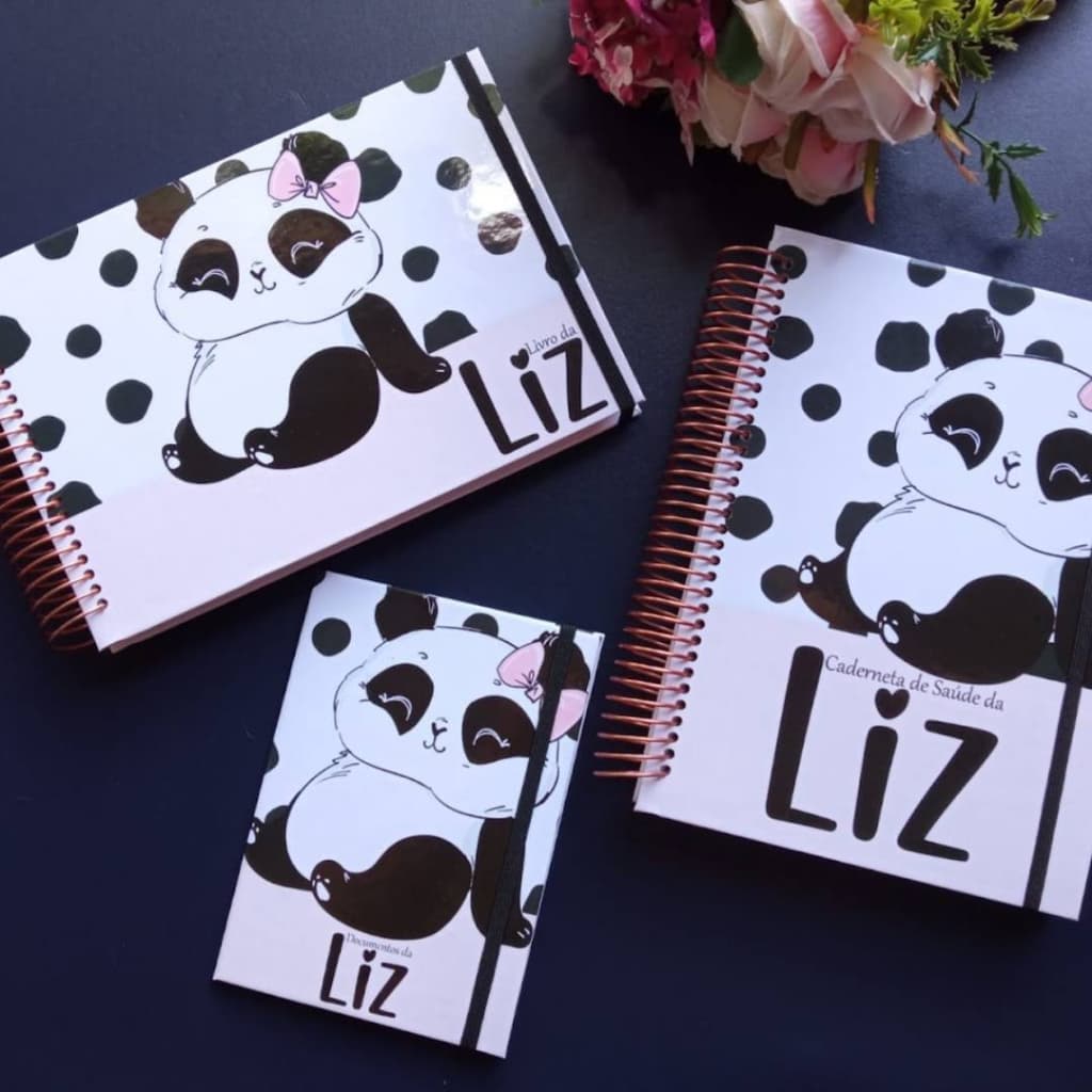 Kit Livro do Bebê, Caderneta e Porta Documentos Personalizado
