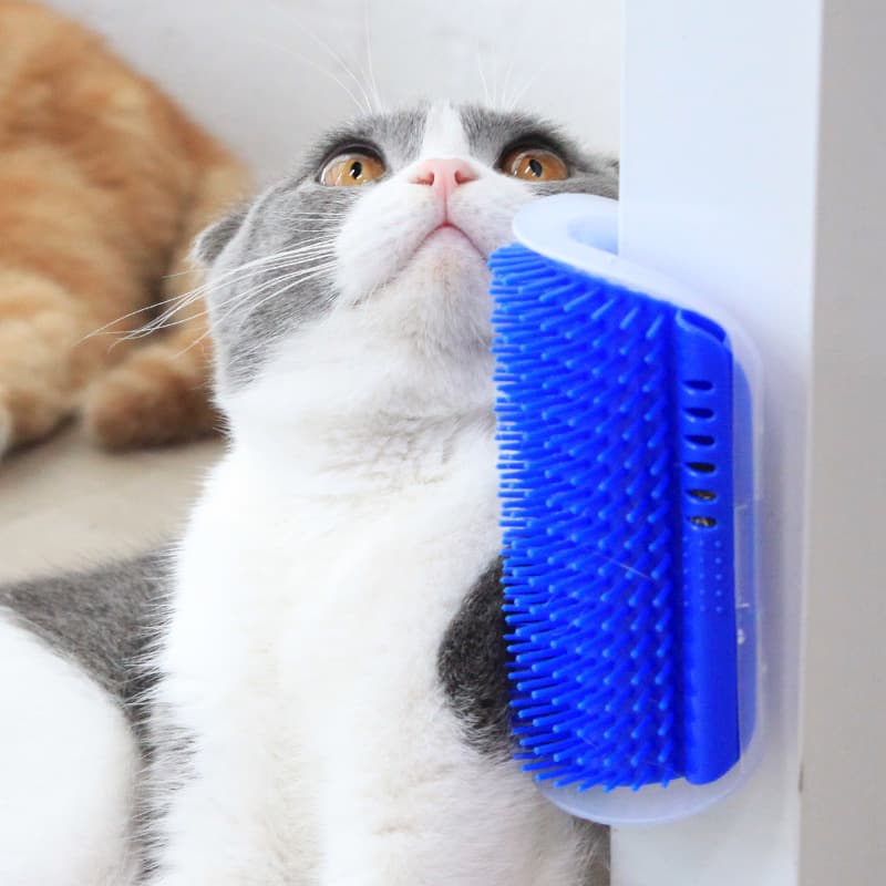 Escova Coçador Pet Parede Gato Massagem Brinquedo/Vestuário Removedor De Pêlos/Luva Nano Magnético  Pelos/ Escova Removedora Tira Pelos Dos Pets/ Rolo Tira Pelos Para Roupas Tecidos Lavável