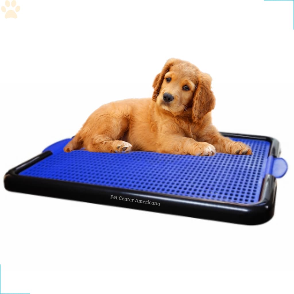 Sanitário Canino Tapete Higiênico Banheiro Pet Tapete Para Cachorro Fazer Xixi