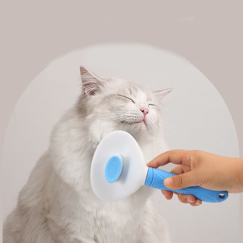Escova Coçador Pet Parede Gato Massagem Brinquedo/Vestuário Removedor De Pêlos/Luva Nano Magnético  Pelos/ Escova Removedora Tira Pelos Dos Pets/ Rolo Tira Pelos Para Roupas Tecidos Lavável