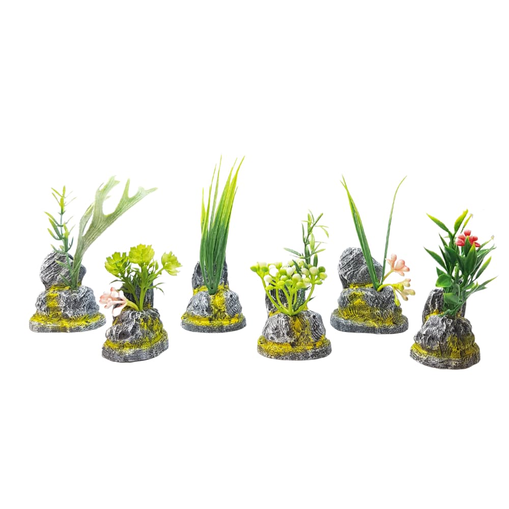 Enfeite Para Aquário Plantas Artificiais Decoradas Kit 6 Un.