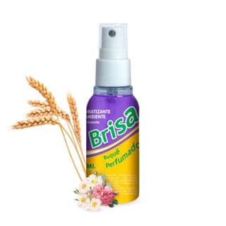 Aromatizantes Cheirinho Perfume Automotivo e Ambiente  Spray Perfumado Ramas Borrifador 60ML