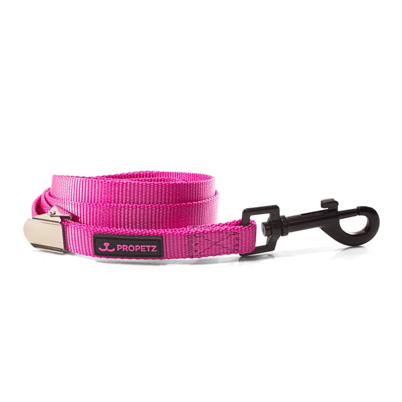 Guia para Cachorro Nylon 45cm Rosa Propetz
